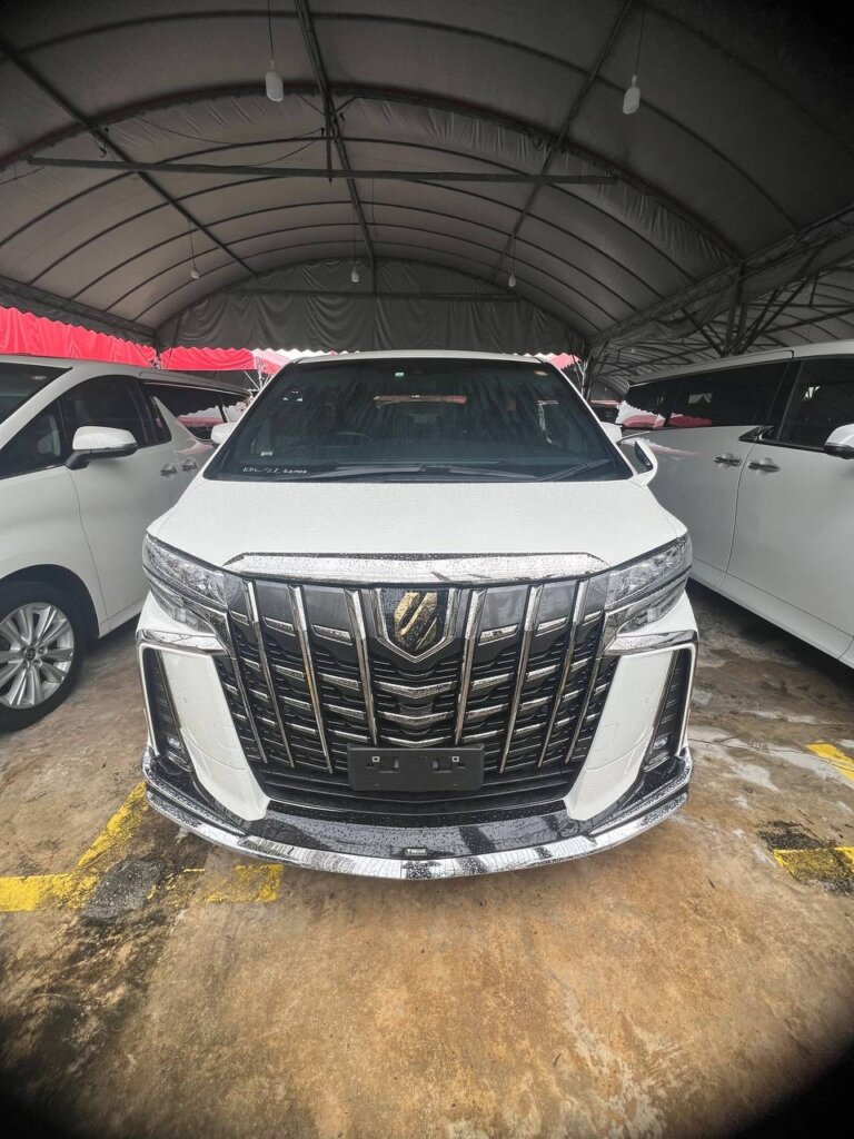 Toyota Alphard TYPE GOLD 2023 · TG-2155