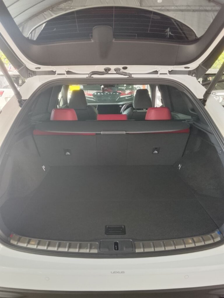 Lexus RX350 F SPORT 2024 · TG-2030