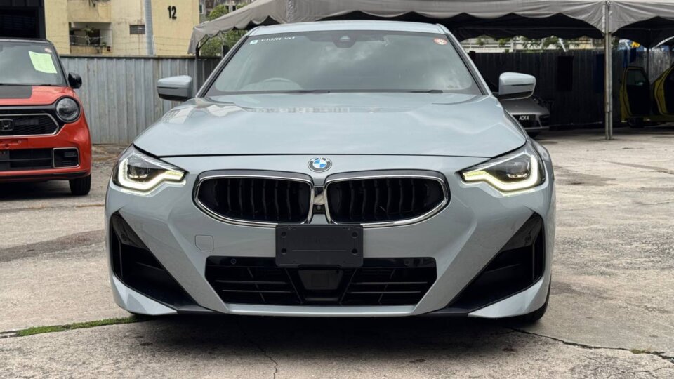 BMW 220i — foto galeri 2