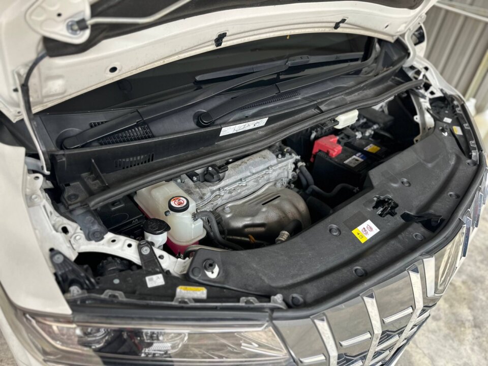 Toyota Alphard · Foto 1219 Toyota Alphard — foto galeri 6