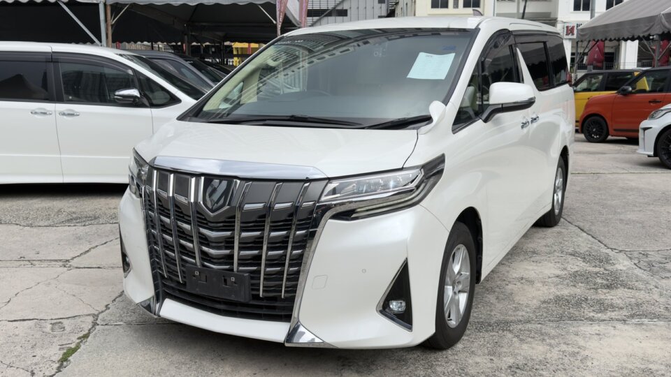 Toyota Alphard — foto galeri 8