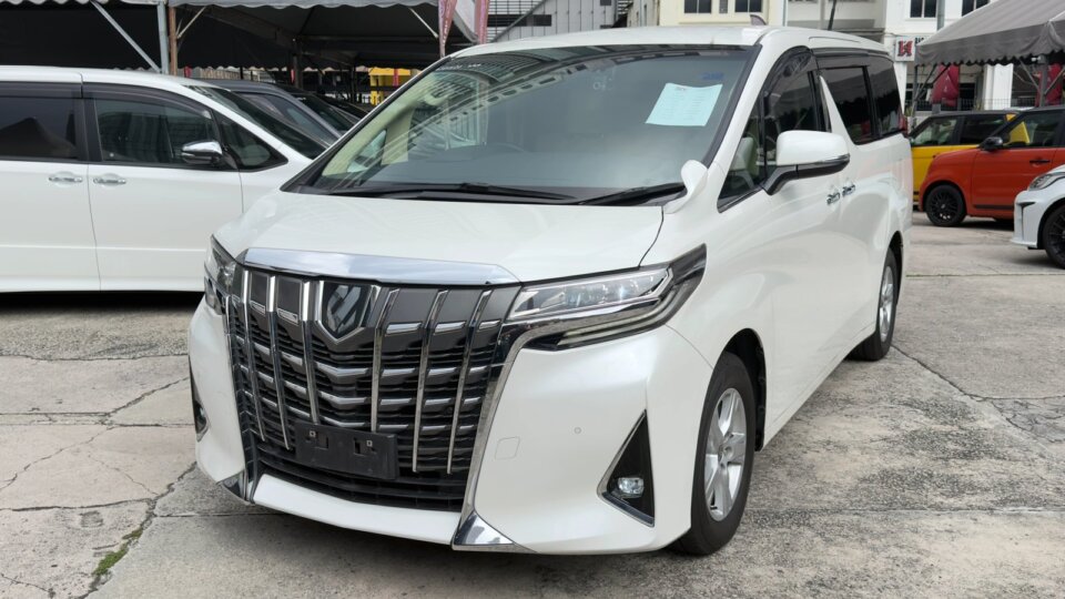 Toyota Alphard — foto galeri 16