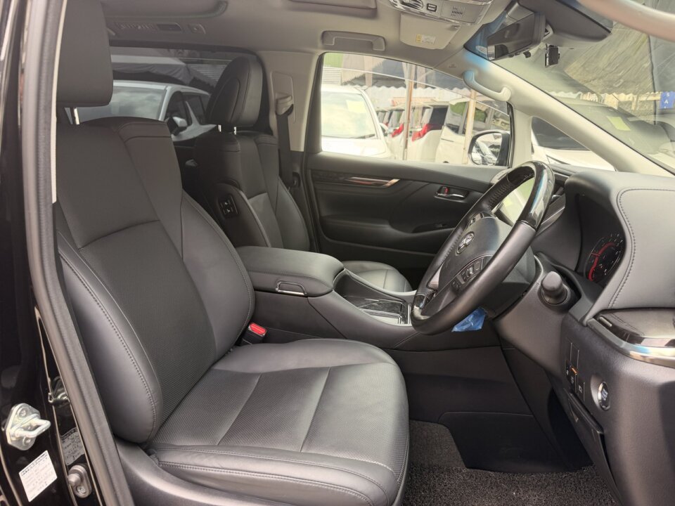 Toyota Alphard — foto galeri 5