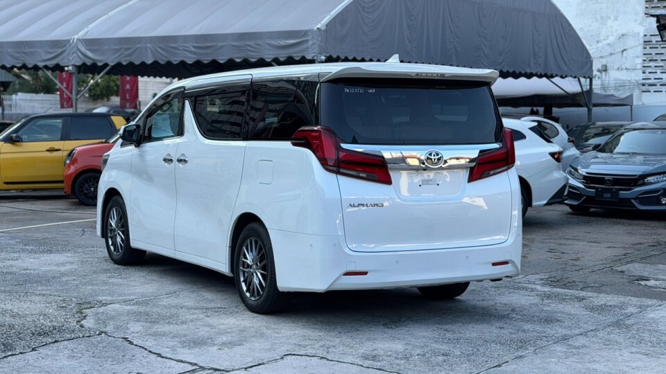 Toyota Alphard — foto galeri 13