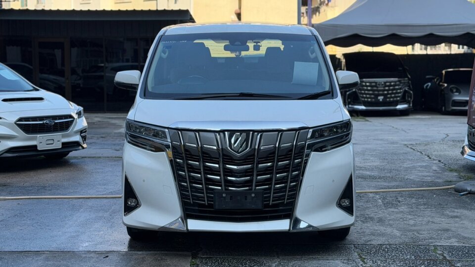 Toyota Alphard — foto galeri 14