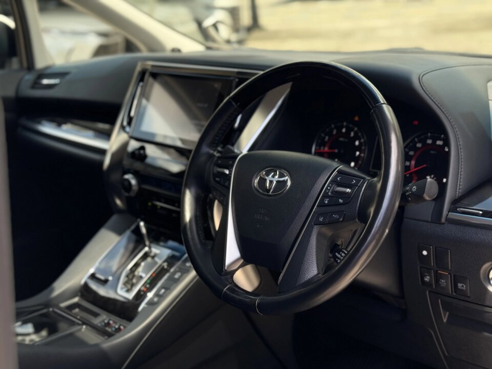 Toyota Alphard — foto galeri 9